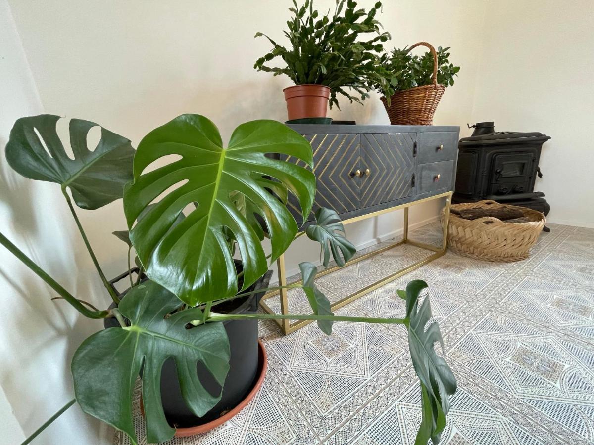 Cilka'S House, Authentic Homestay Near Lipica Sezana Bagian luar foto